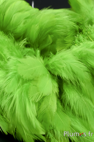 Poule - 5-9 cm - lime